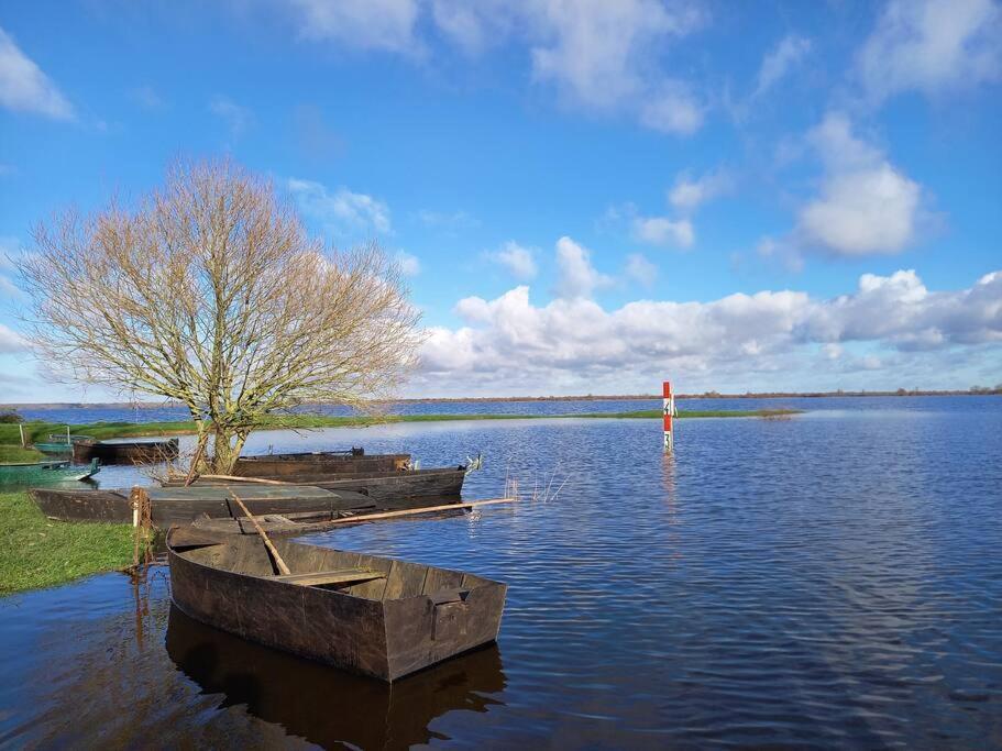 Lac Grand Lieu : Maisonnette Au Calme Avec Jardin Saint-Lumine-de-Coutais Экстерьер фото